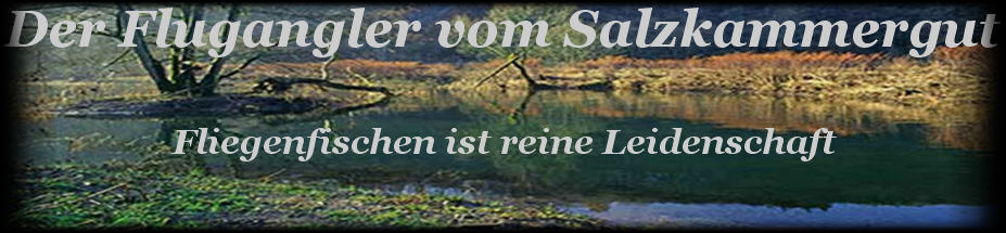 fliegenfischen inm Salzkammergut